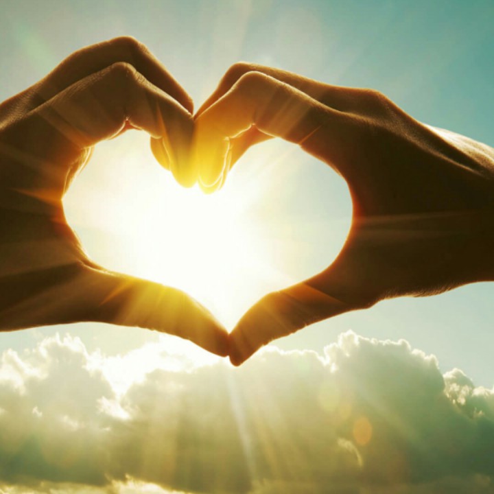 爱你爱到心里面【木叶制作】 - 雪中寒梅独自绽放唯美 唱吧,听见歌声