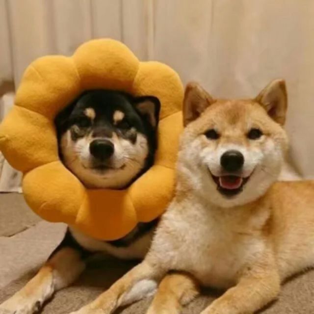 雨爱- joy&spades; 唱吧,玩音乐,就上唱吧!