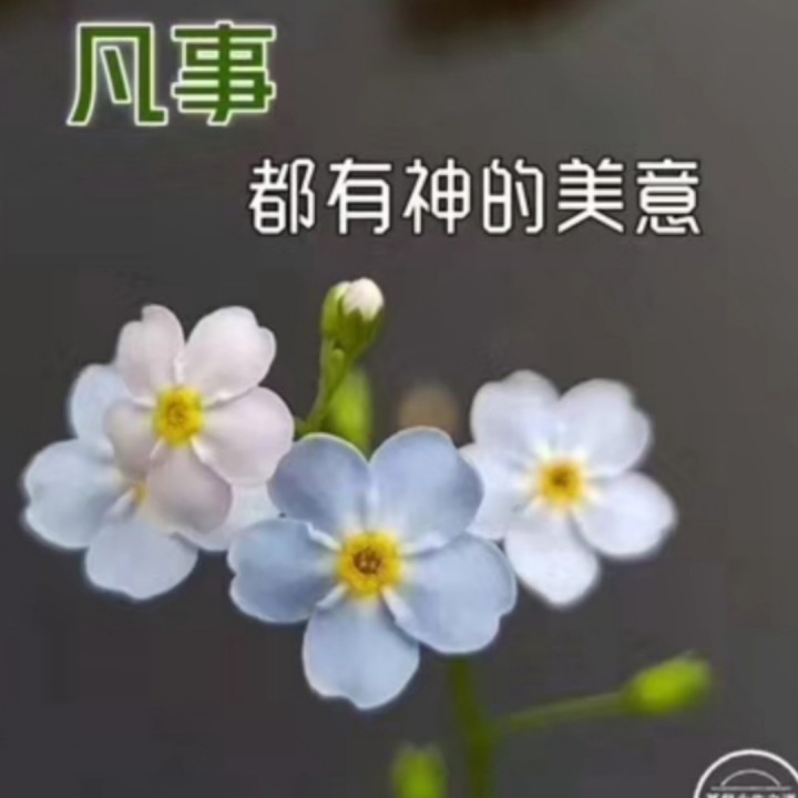 爱情主旋律