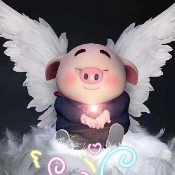 夜之光