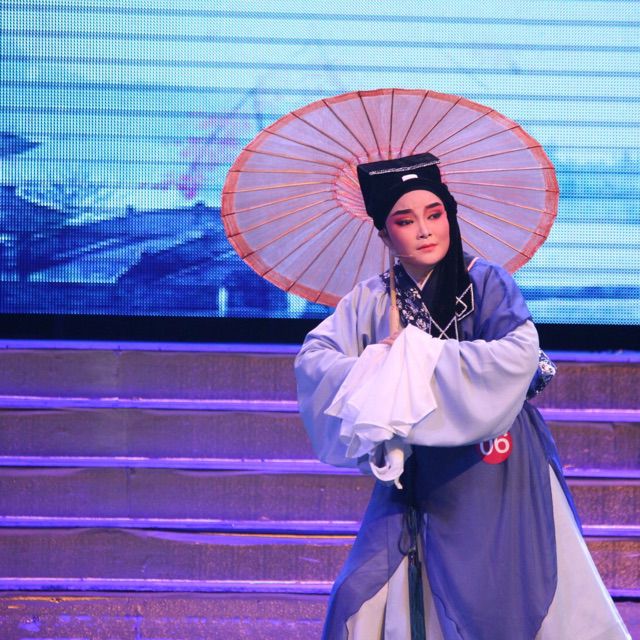 京胡伴奏版李胜素梨花颂