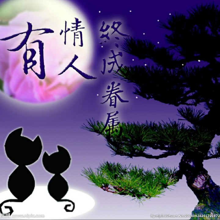 致有情人
