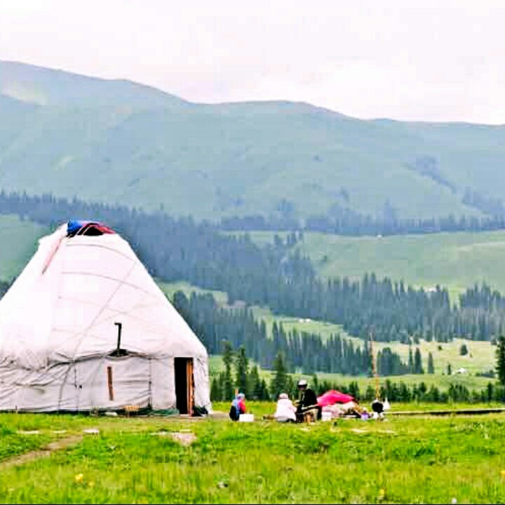 今夜草原有雨【莺怡】