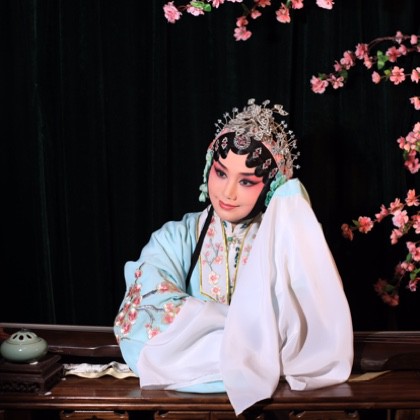 葬花 王文娟【越剧】