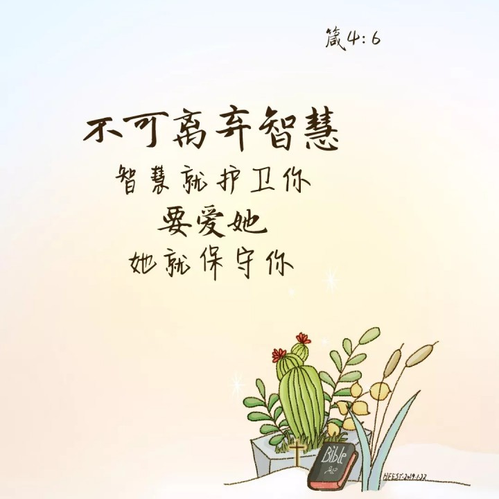 圣经全景【刘道顺牧师著作】