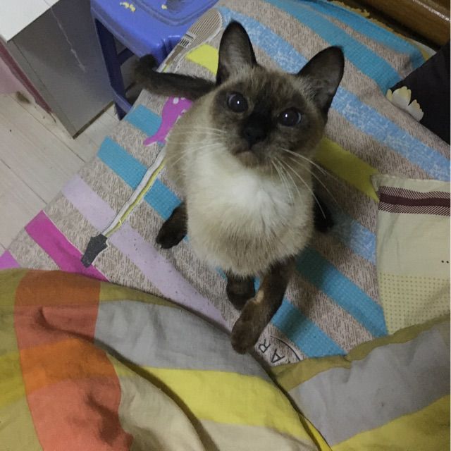 孤独患者 - &copy;15法克 唱吧,玩音乐,就上唱吧!