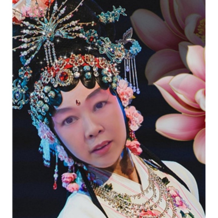 越剧 情探 送王郎