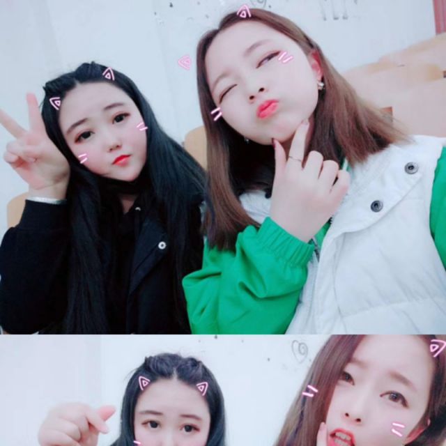 白色桔梗花【空拍】