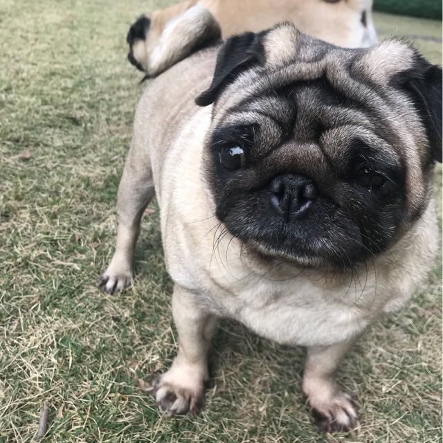 不懂- 屎盖法克 唱吧,玩音乐,就上唱吧!