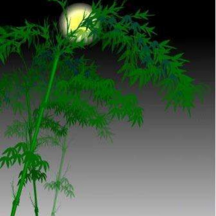 为情心碎也凄美 - 月光下的风尾竹413113 唱吧,听见歌声遇见你