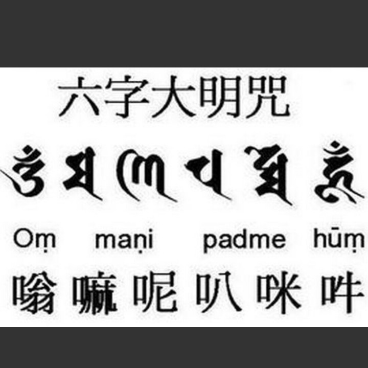 红尘来去梦一场