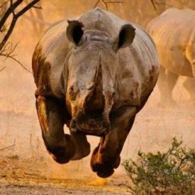 无间道经典对白配乐【完美消音版】