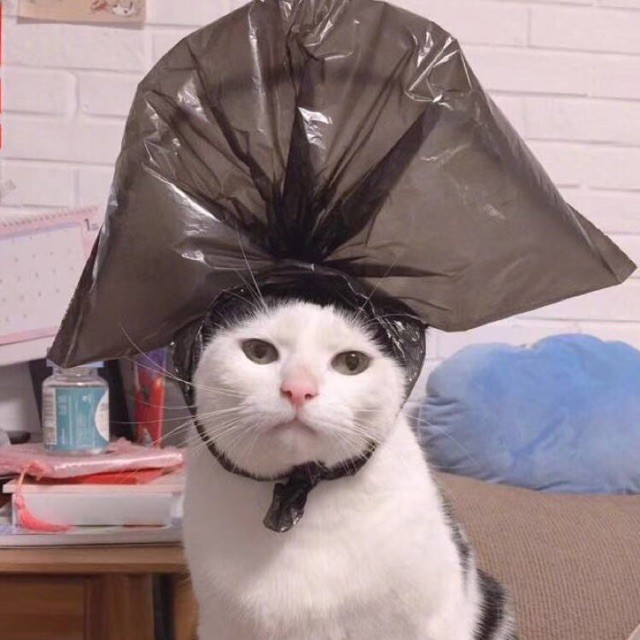 舍不得 - __张蓓蹦擦擦 唱吧,听见歌声遇见你