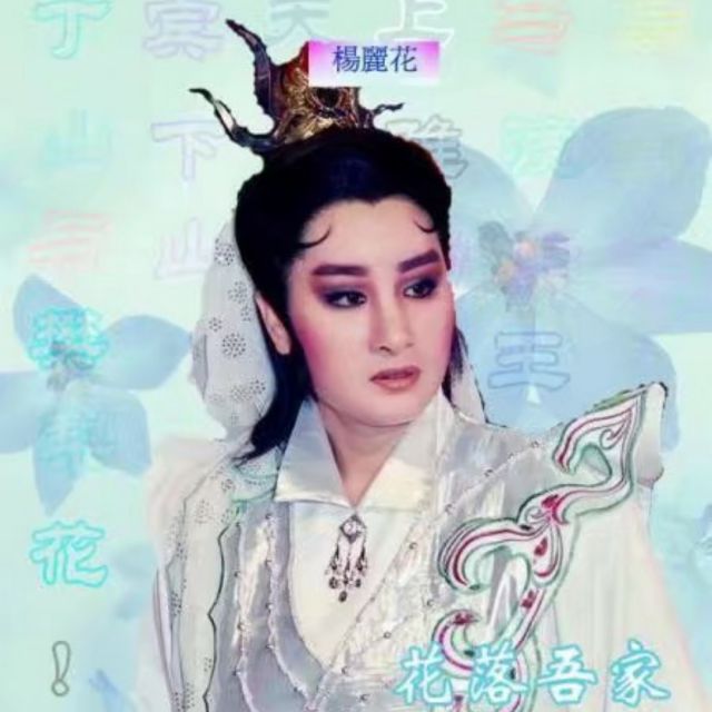 杨丽花歌仔戏《乞丐与千金》不知名曲调【电音版】