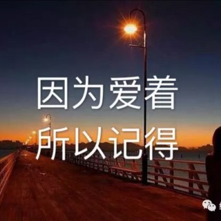 遗憾 可惜不是你【随编】 - 9715&zwj;♂15伤感小屋 唱吧