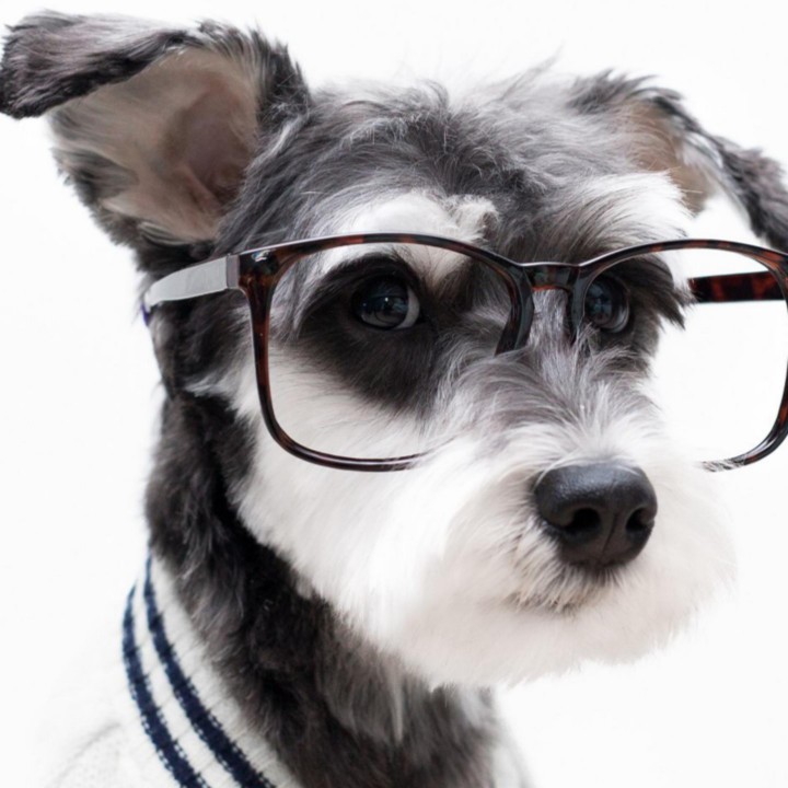 清平调【王菲】