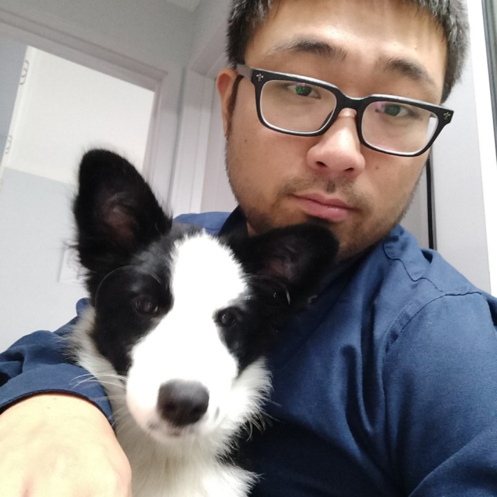 青城山下白素贞 - 奔跑胡子熊 唱吧,听见歌声遇见你