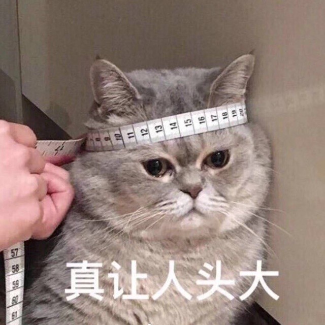 单身狗之歌【正常版】