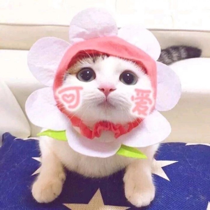 以后别做朋友【女版钢琴伴奏】