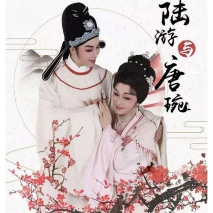 越剧 陆游与唐婉 小红楼【茅威涛】