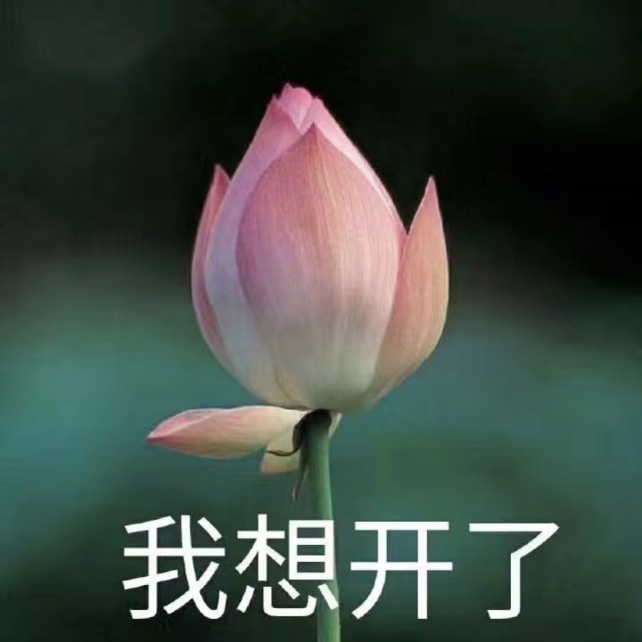 青花瓷 - 永无乡de宁静 唱吧,听见歌声遇见你