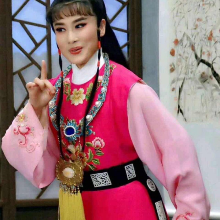 越剧三笑 点秋香【丁小蛙版】