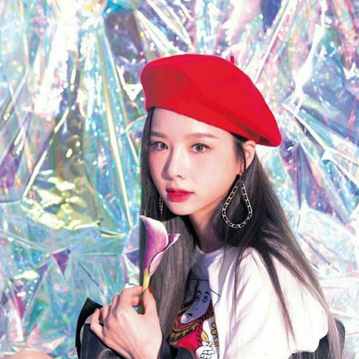 双子座(gemini) - 泰妍