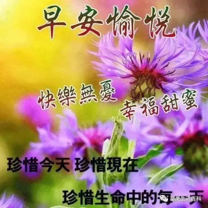梦中想着你