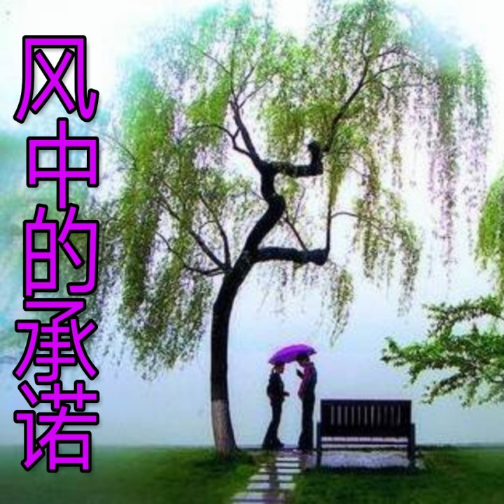 风中的承诺