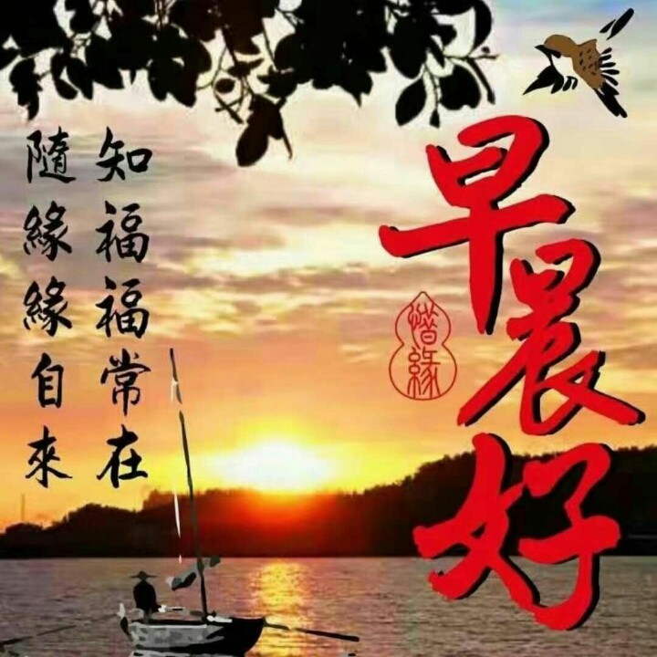 菊花爆满山