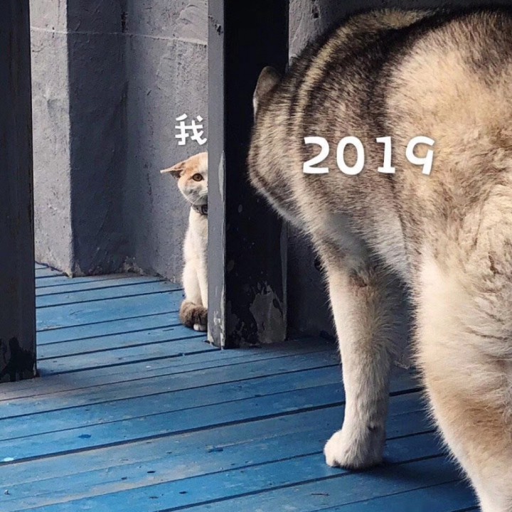 会痛的石头