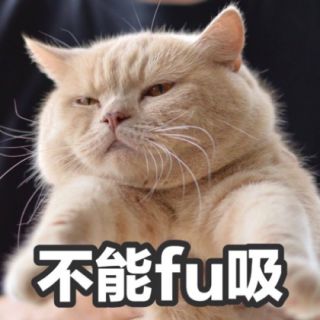 魔鬼中的天使
