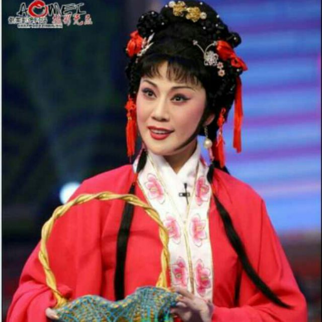 豫剧-花喜鹊 一句话一把刺让人心寒 (伴奏 )