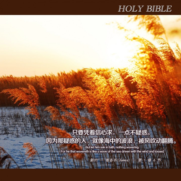 伊甸园我的故乡【雅歌版】 - 站在渡口赞美 唱吧,听见歌声遇见你