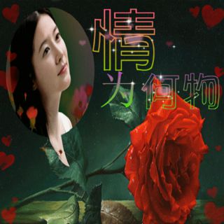 為愛流下傷心淚【女版 阿業提供】