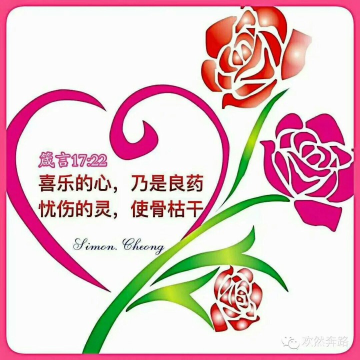 颂读圣经专用