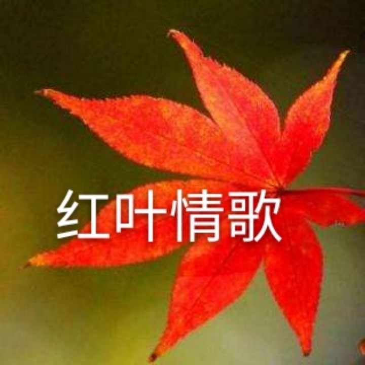 红叶情歌【合唱版】