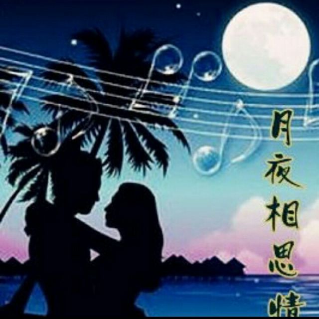 月夜相思情歌曲原唱图片