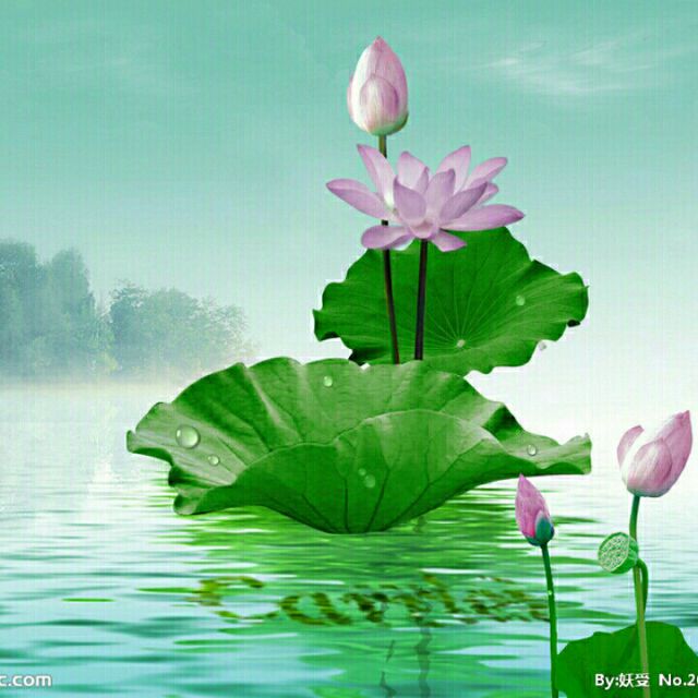 一曲红尘【一方制作】 - 莲花闹海棠拒币 唱吧,玩音乐,就上唱吧!