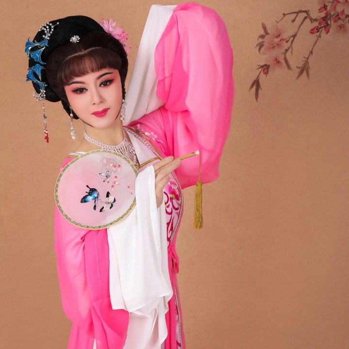 打金枝-头戴珠冠压鬓齐