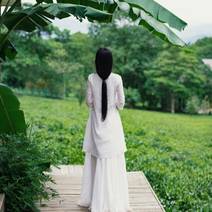 醉仙美