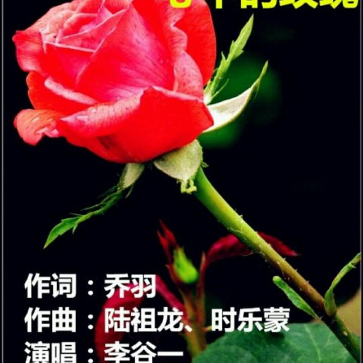心中的玫瑰