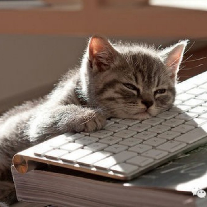 爱囚【高音质】