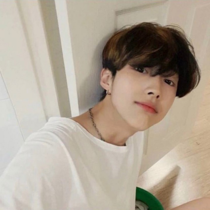 2016-12-26                       【亲爱的来看你啦】悼底胺严新改