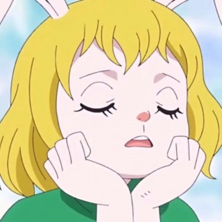 double face【有和声】