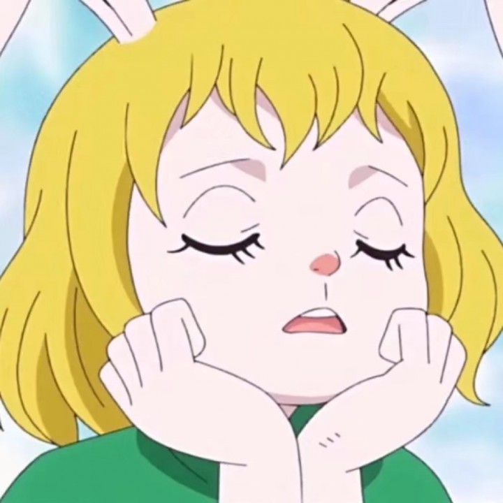 double face【有和声】