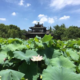 临歧久别歌【消音版】 踏月留痕 落花时节又逢君 踏月留痕 青媚狐