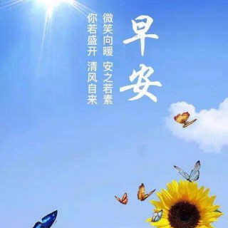 容易受伤的女人 - 念盼芸萱儿 唱吧,听见歌声遇见你