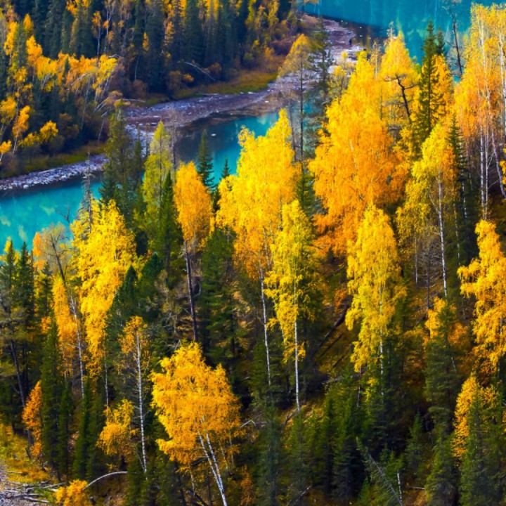 友谊之光【KTV粤语】