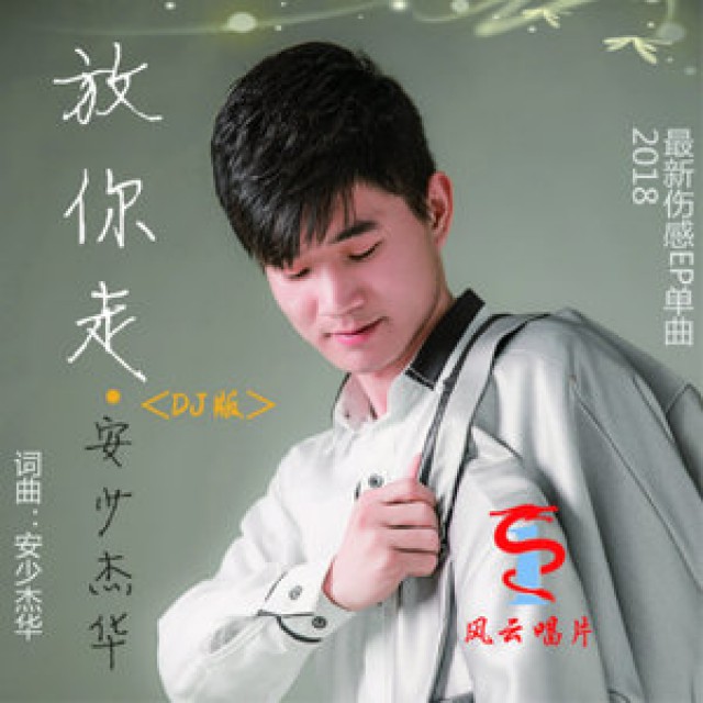 放你走(dj版)